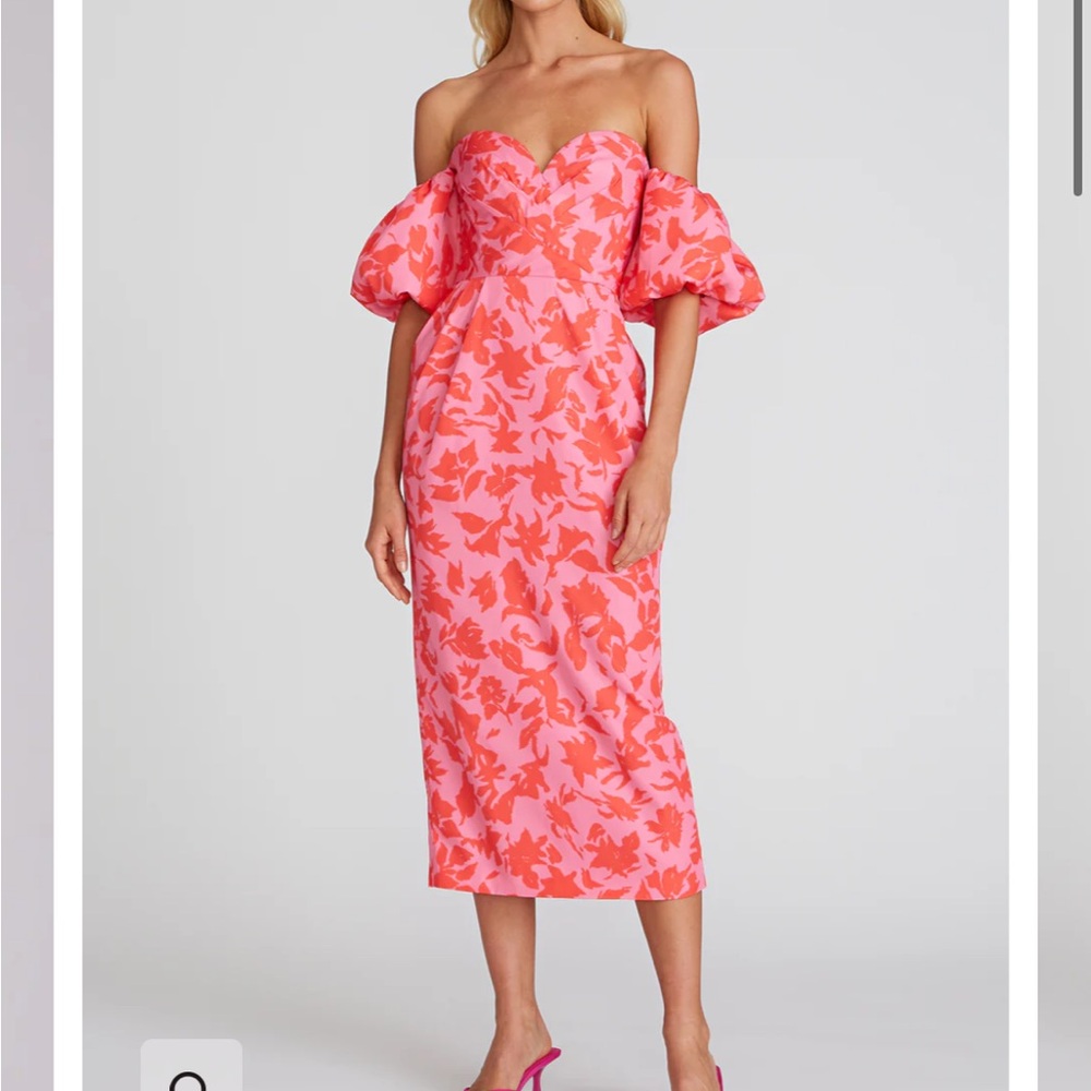 Amur Michaela Dress size 10